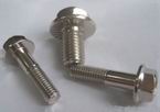 Flange bolts